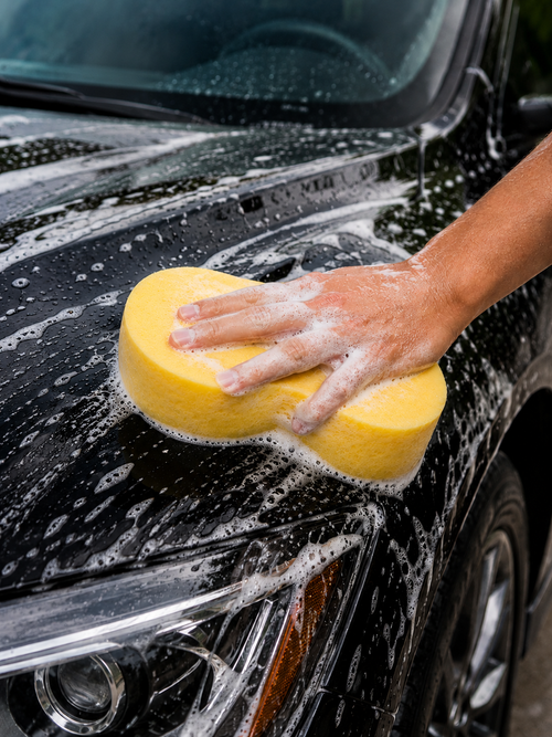 ESPONJA PARA LAVADO DE AUTO